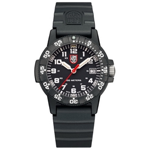 Leatherback Sea Turtle 0300 Series