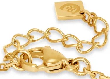Cerruti Браслет Isadora CIJLB0013401 — фотография 2