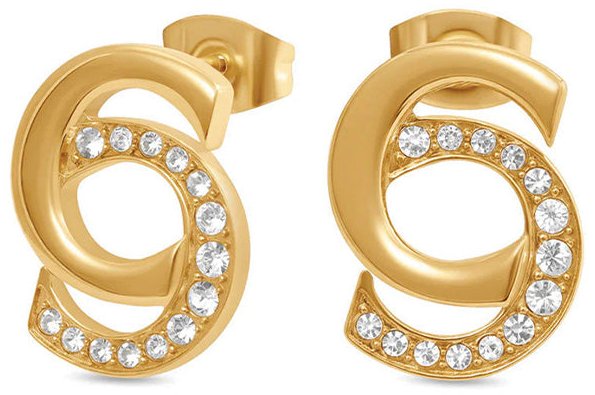 Cerruti Marina, серьги CIJLE0013801