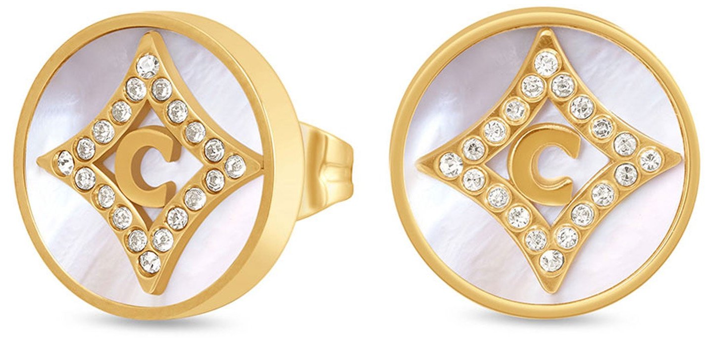 Cerruti Tessa, серьги CIJLE0015002